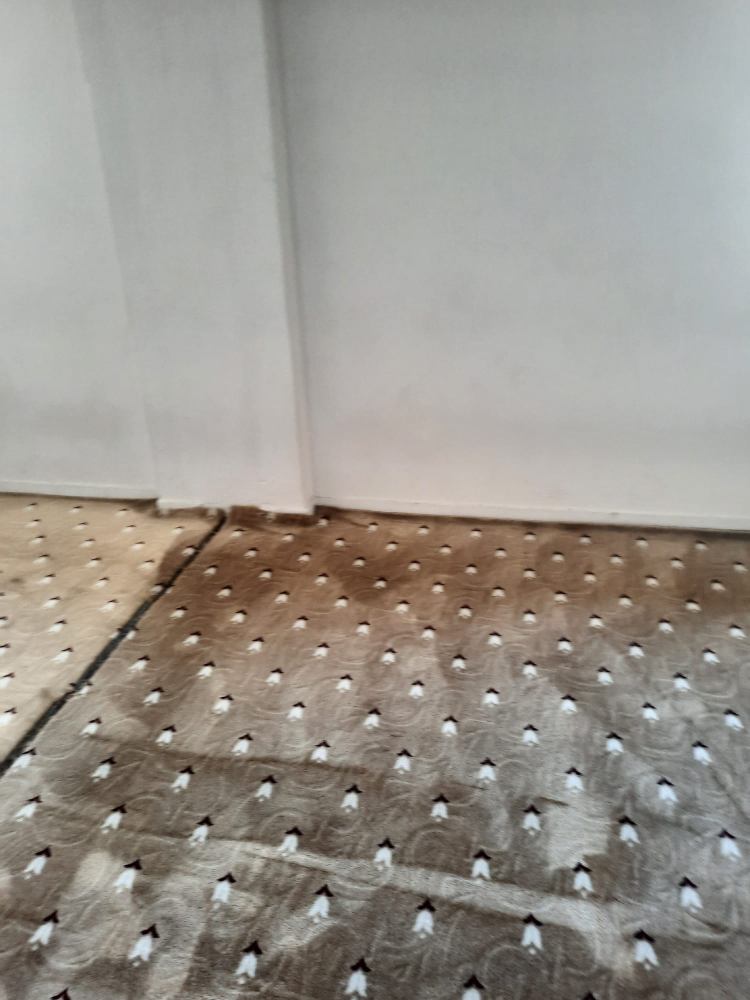 Cami Halısı Yıkama - 1