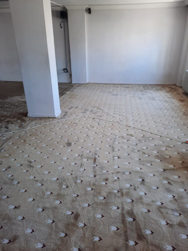Cami Halısı Yıkama - 6